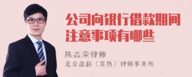 公司向银行借款期间注意事项有哪些