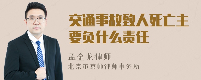 交通事故致人死亡主要负什么责任