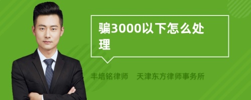 骗3000以下怎么处理