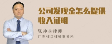 公司发现金怎么提供收入证明