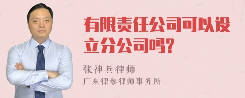 有限责任公司可以设立分公司吗?