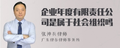 企业年度有限责任公司是属于社会组织吗