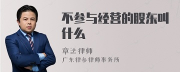 不参与经营的股东叫什么