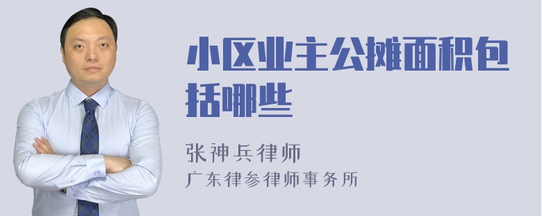 小区业主公摊面积包括哪些