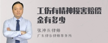 工伤有精神损害赔偿金有多少