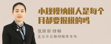 小规模纳税人是每个月都要报税的吗