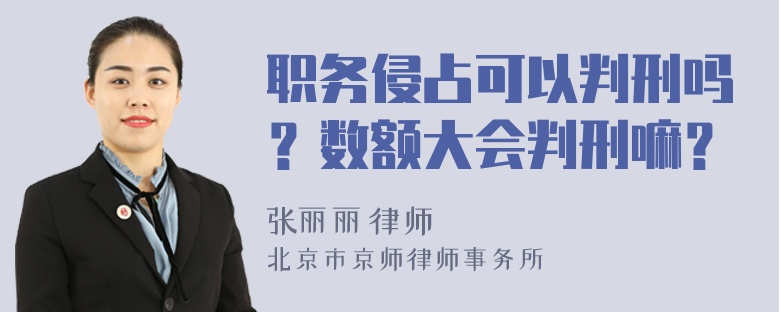 职务侵占可以判刑吗？数额大会判刑嘛？