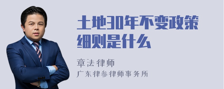 土地30年不变政策细则是什么