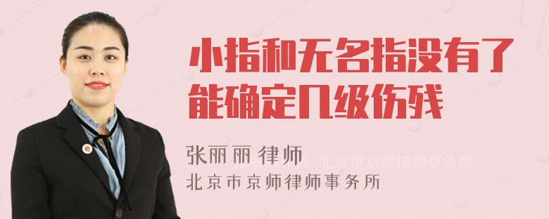 小指和无名指没有了能确定几级伤残