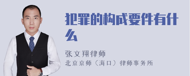 犯罪的构成要件有什么