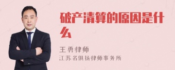 破产清算的原因是什么