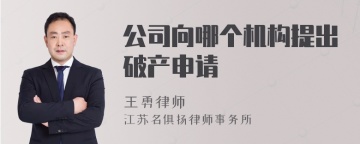 公司向哪个机构提出破产申请