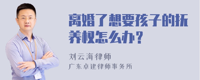 离婚了想要孩子的抚养权怎么办？