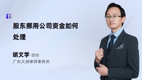 股东挪用公司资金如何处理