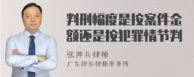 判刑幅度是按案件金额还是按犯罪情节判