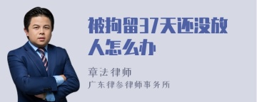 被拘留37天还没放人怎么办