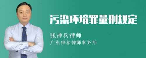 污染环境罪量刑规定