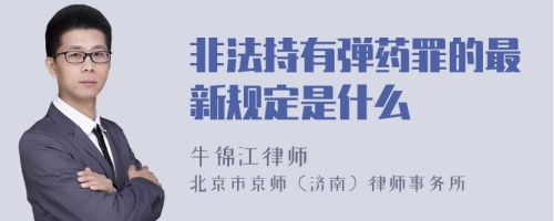 非法持有弹药罪的最新规定是什么