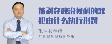 被剥夺政治权利的罪犯由什么执行刑罚