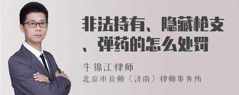 非法持有、隐藏枪支、弹药的怎么处罚