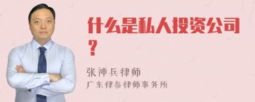 什么是私人投资公司？