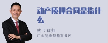 动产质押合同是指什么