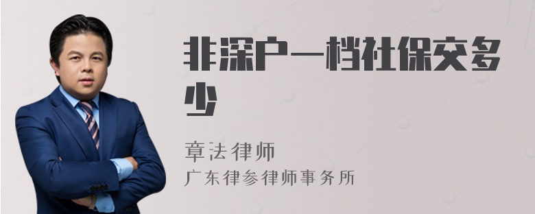 非深户一档社保交多少