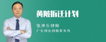 黄陂拆迁计划