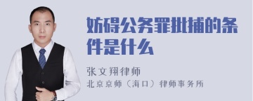 妨碍公务罪批捕的条件是什么