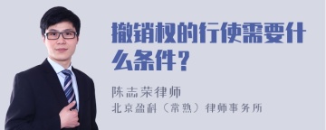 撤销权的行使需要什么条件？