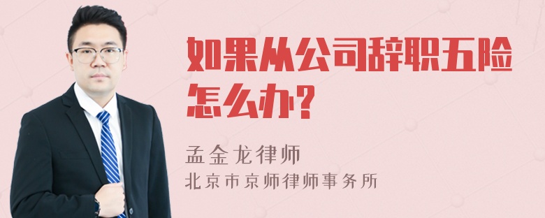 如果从公司辞职五险怎么办?