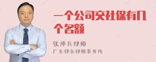 一个公司交社保有几个名额