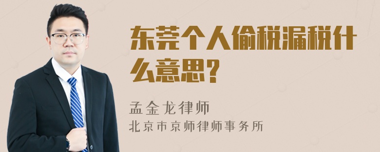 东莞个人偷税漏税什么意思?