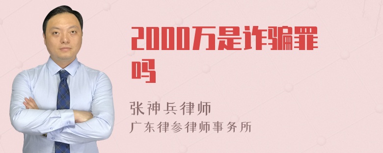 2000万是诈骗罪吗