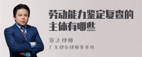 劳动能力鉴定复查的主体有哪些