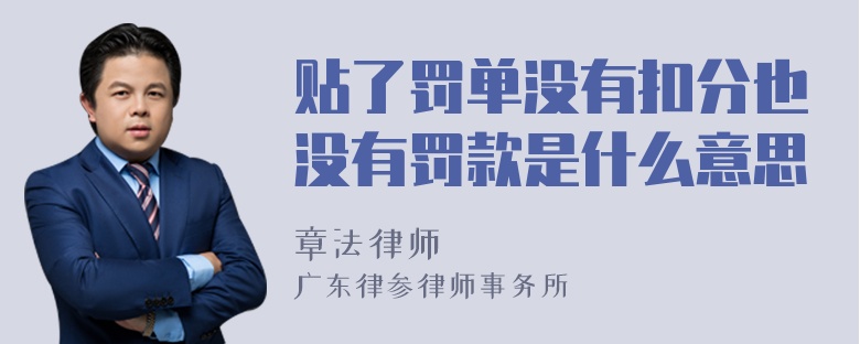 贴了罚单没有扣分也没有罚款是什么意思