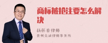 商标被抢注要怎么解决