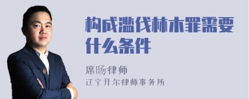 构成滥伐林木罪需要什么条件