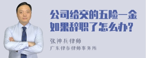 公司给交的五险一金如果辞职了怎么办?