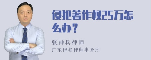 侵犯著作权25万怎么办？