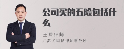 公司买的五险包括什么