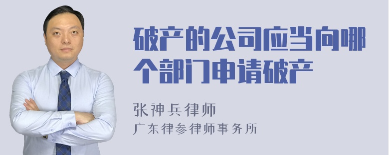 破产的公司应当向哪个部门申请破产