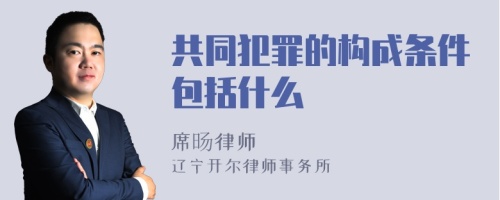 共同犯罪的构成条件包括什么