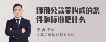 挪用公款罪构成的条件和标准是什么