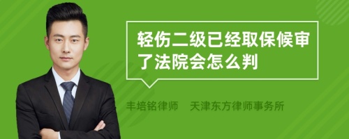 轻伤二级已经取保候审了法院会怎么判