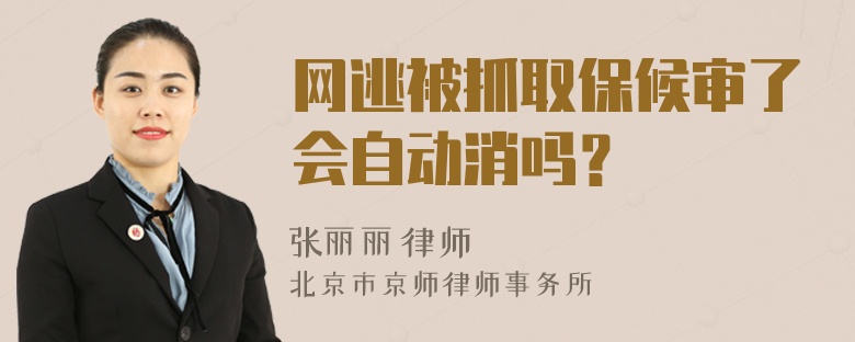 网逃被抓取保候审了会自动消吗？