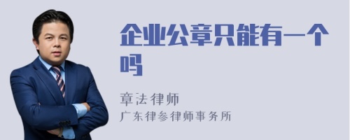 企业公章只能有一个吗