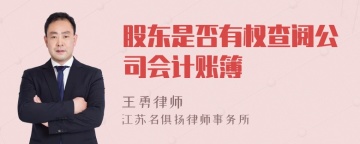 股东是否有权查阅公司会计账簿