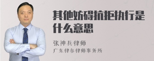 其他妨碍抗拒执行是什么意思