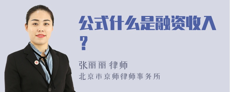 公式什么是融资收入？